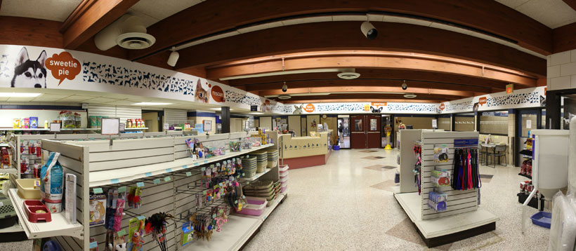 sdco_ahs_03